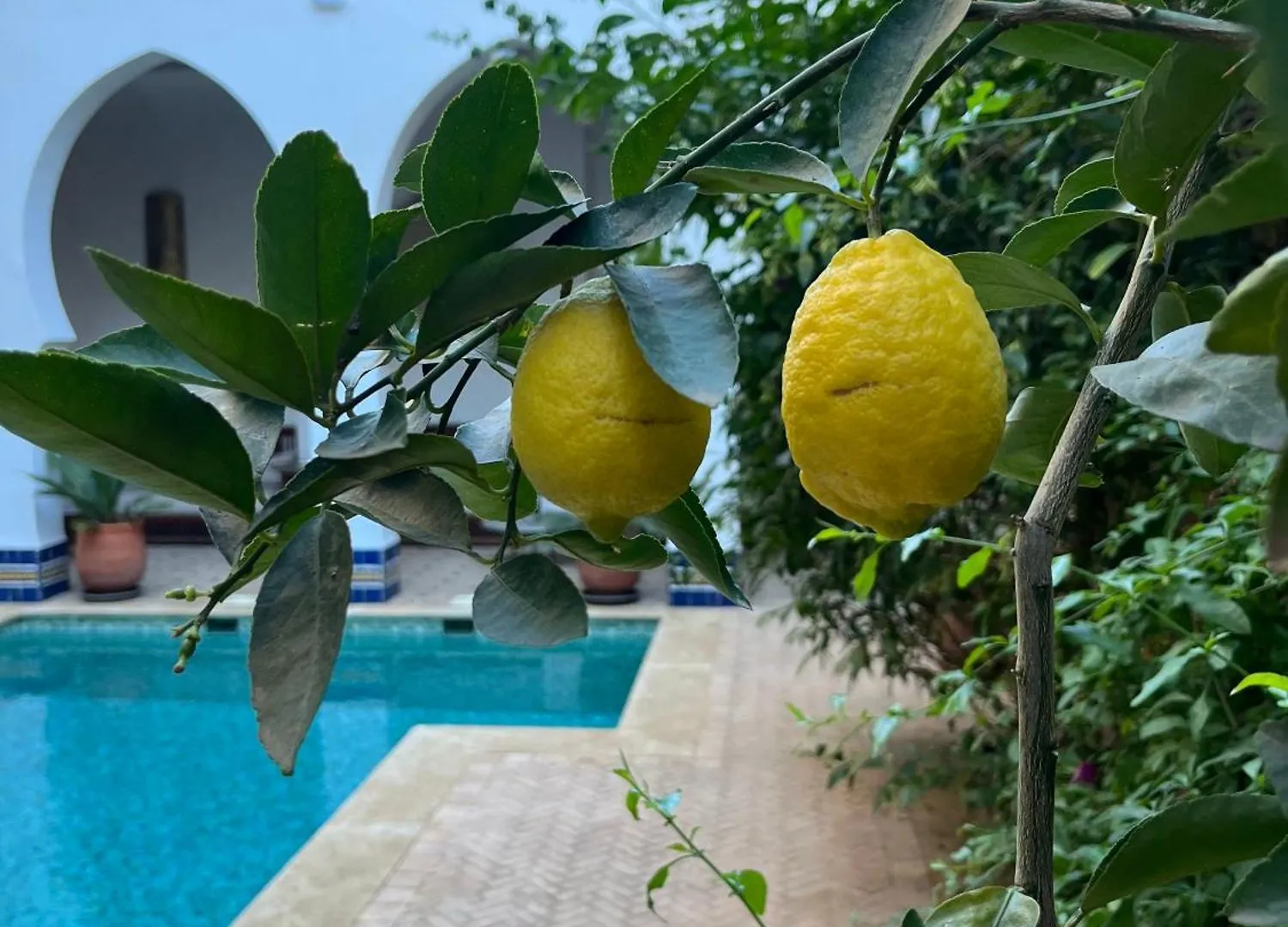 Riad Hanael Garden & Spa Fes Morocco