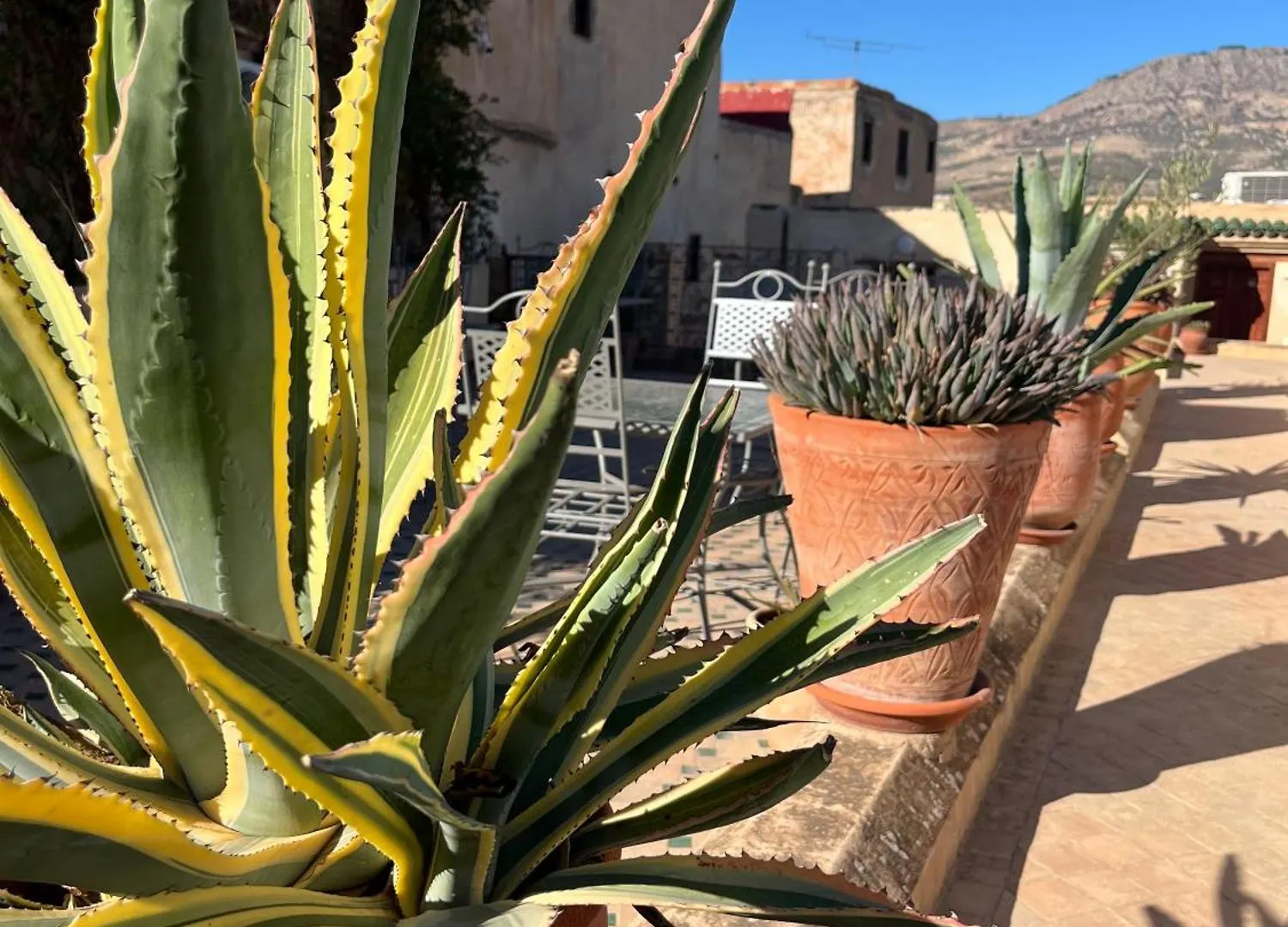 Riad Hanael Garden & Spa Fes